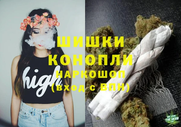 шишки Вязьма