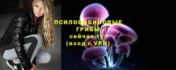шишки Вязьма