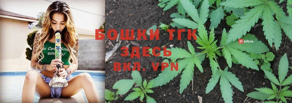 шишки Вязьма